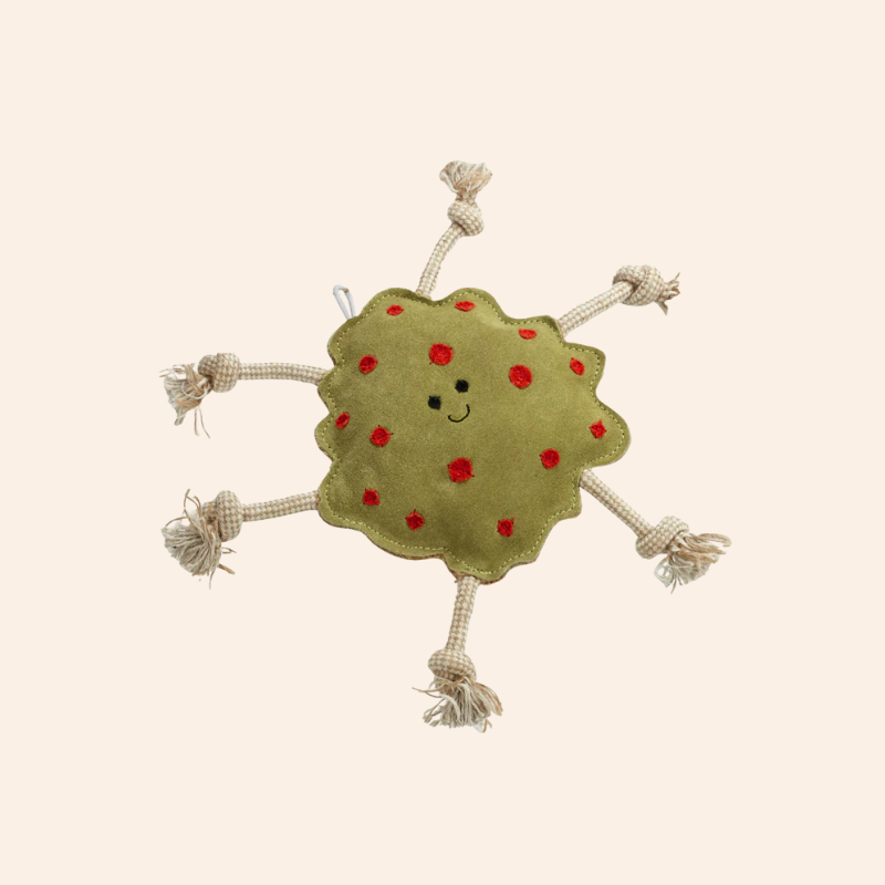 Eco Dog Toy - Splodge