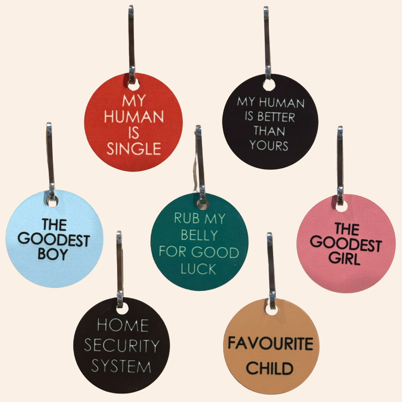 Pet Tag - My Human is Better Than Yours