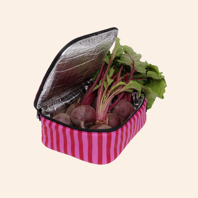 Baggu Lunch Box - Pink & Red Painted Stripe
