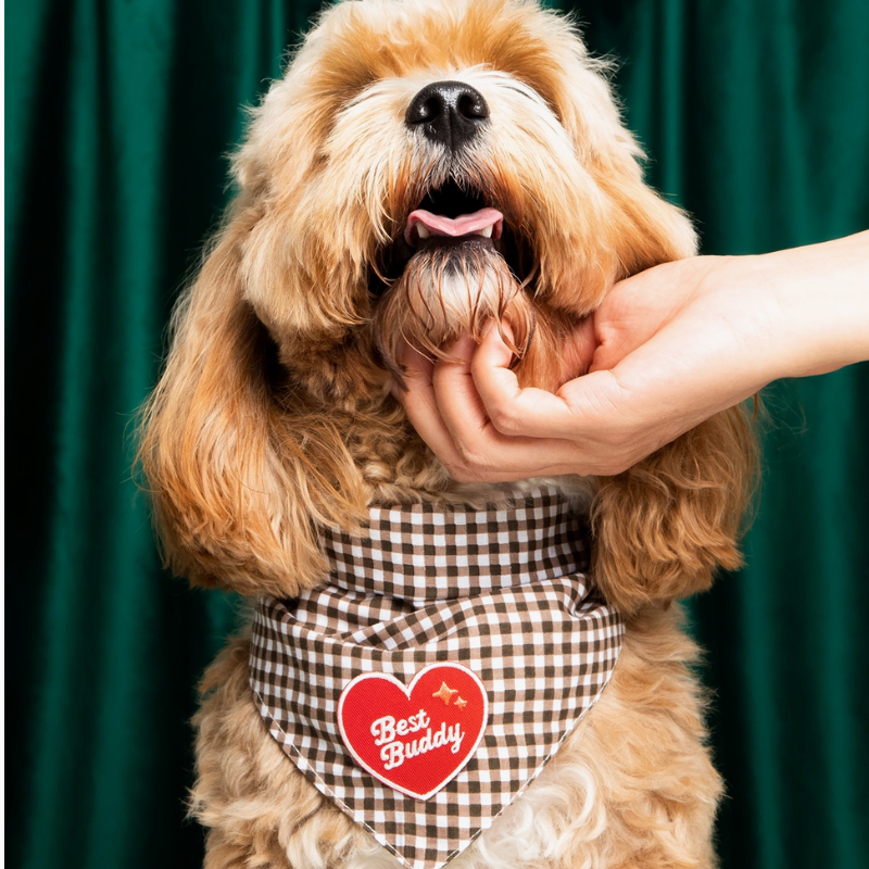 Scout's Honour Patch - Best Buddy