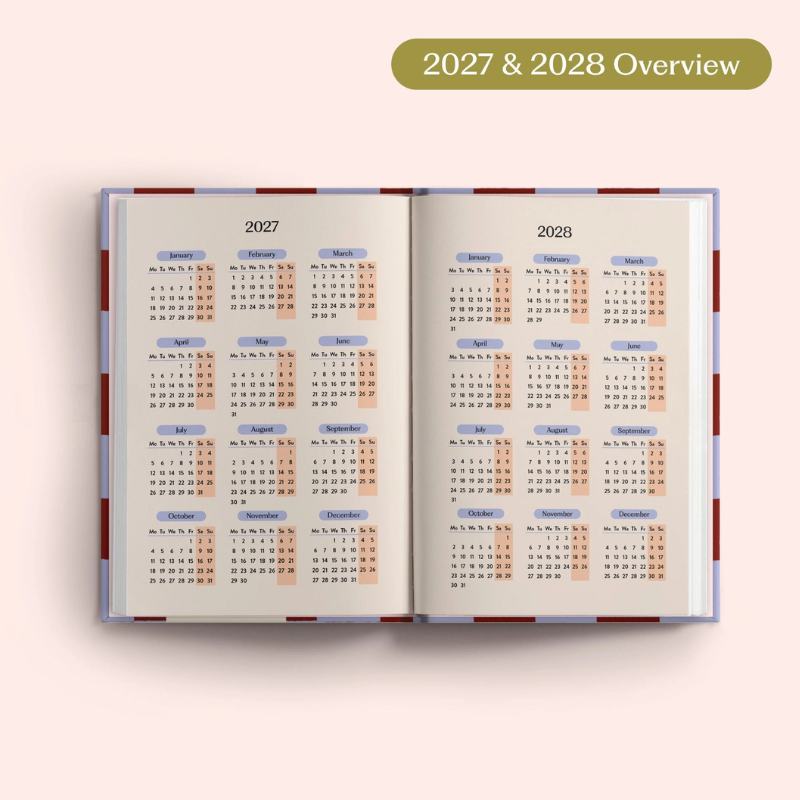 2027 Diary - Blueberry Check