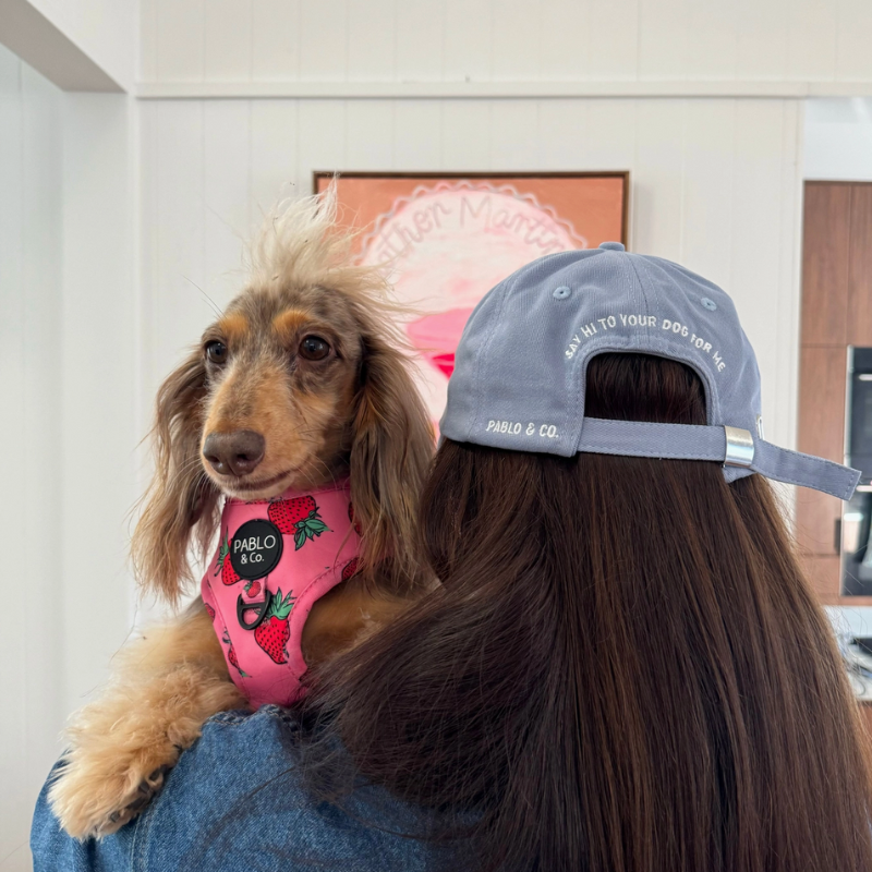 Cap - Send Dog Pics