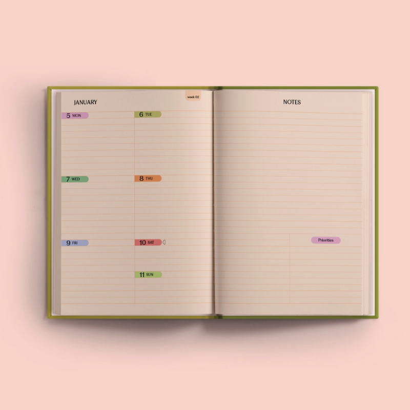 2026 Diary - Blueberry Check