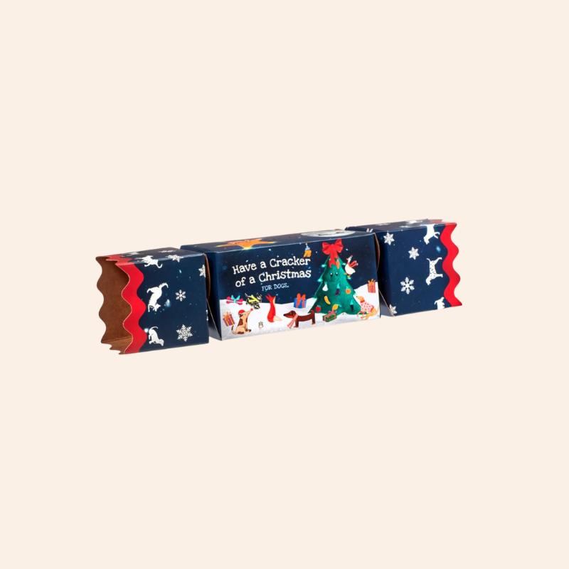Christmas Cracker for Dogs
