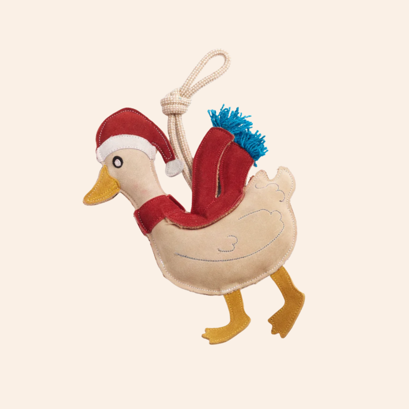 Eco Dog Toy - Donna Duck