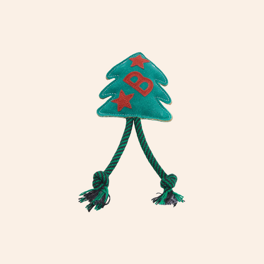Eco Dog Toy - Bruce Spruce