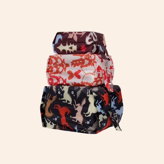 Baggu 3D Zip Set - Western Cut-Outs