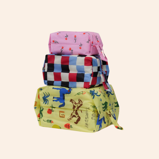 Baggu 3D Zip Set - Painted Prairie