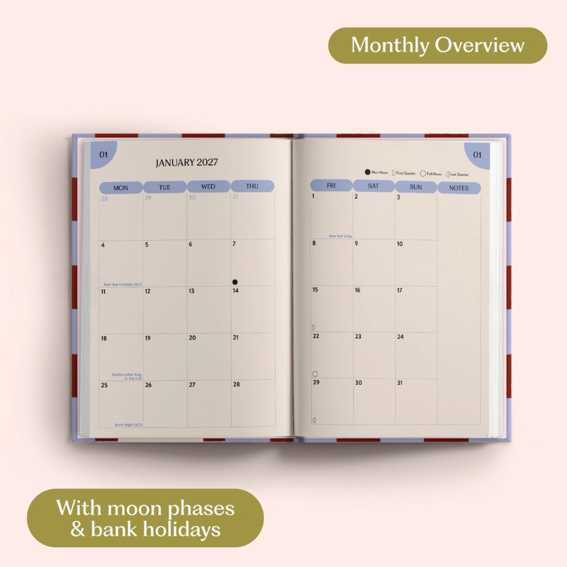 2027 Diary - Blueberry Check