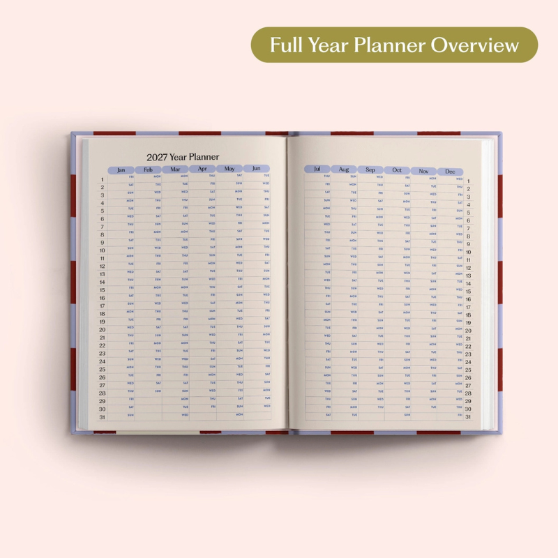 2027 Diary - Blueberry Check