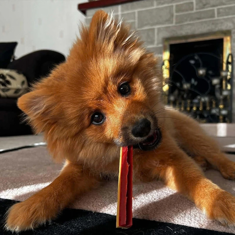 W'ZIS Dog Dental Fang Chews - Oaky Smoky