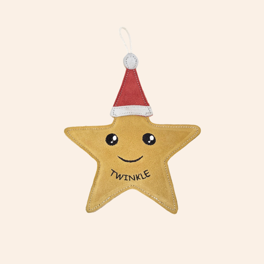 Eco Dog Toy - Twinkle the Star