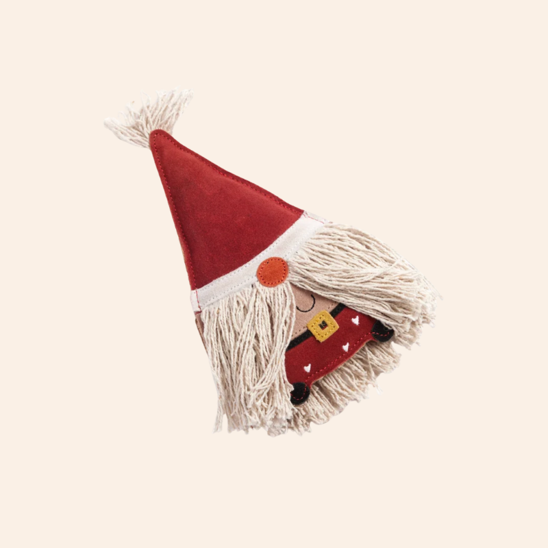 Eco Dog Toy - Klaus