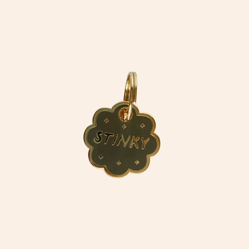 Pet Tag - Stinky