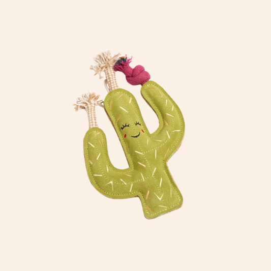 Eco Dog Toy - Carmen Cactus