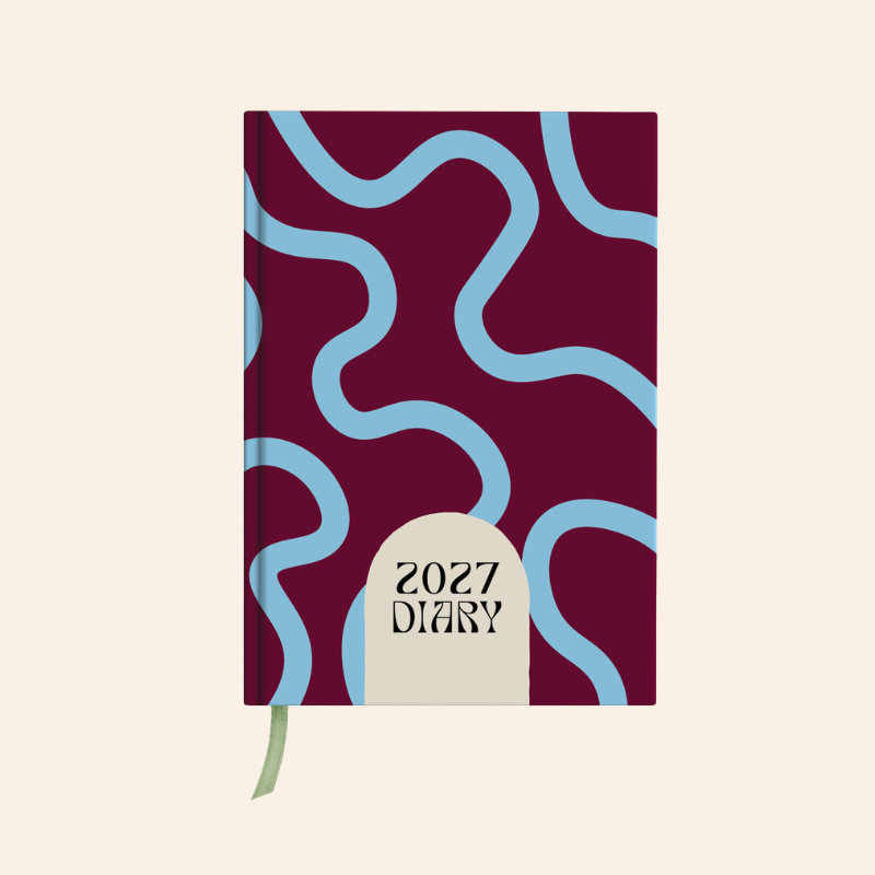 2027 Diary - Brown/Sky Wiggle