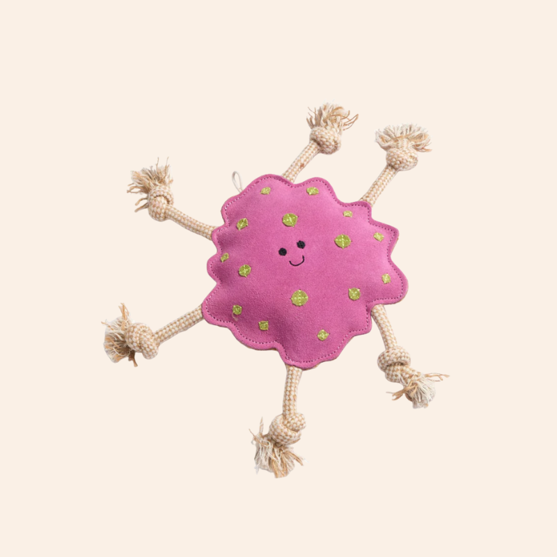 Eco Dog Toy - Splat