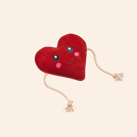 Eco Dog Toy - Trudy Biglove